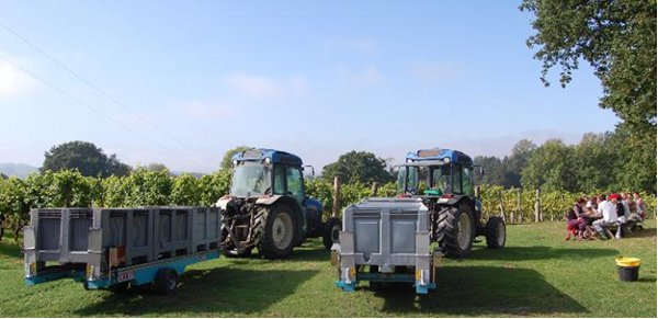 chapeldown-harvest-30-9-11