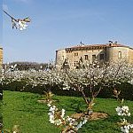 Chateau De Bagnols